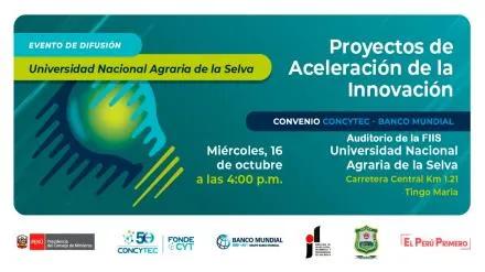 Proyectos de Aceleración de la Innovación