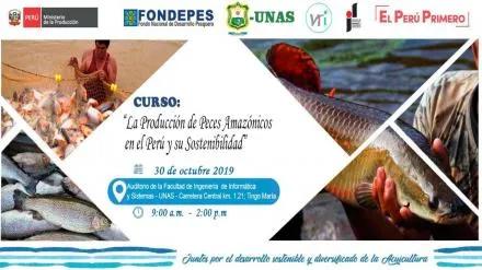 LA PRODUCCIÓN DE PECES AMAZÓNICOS EN EL PERÚ Y SU SOSTENIBILIDAD