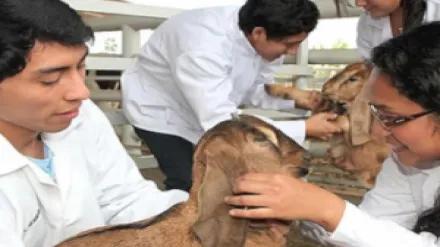 XLII REUNIÓN CIENTÍFICA ANUAL DE LA ASOCIACIÓN PERUANA DE PRODUCCIÓN ANIMAL (APPA-2019)